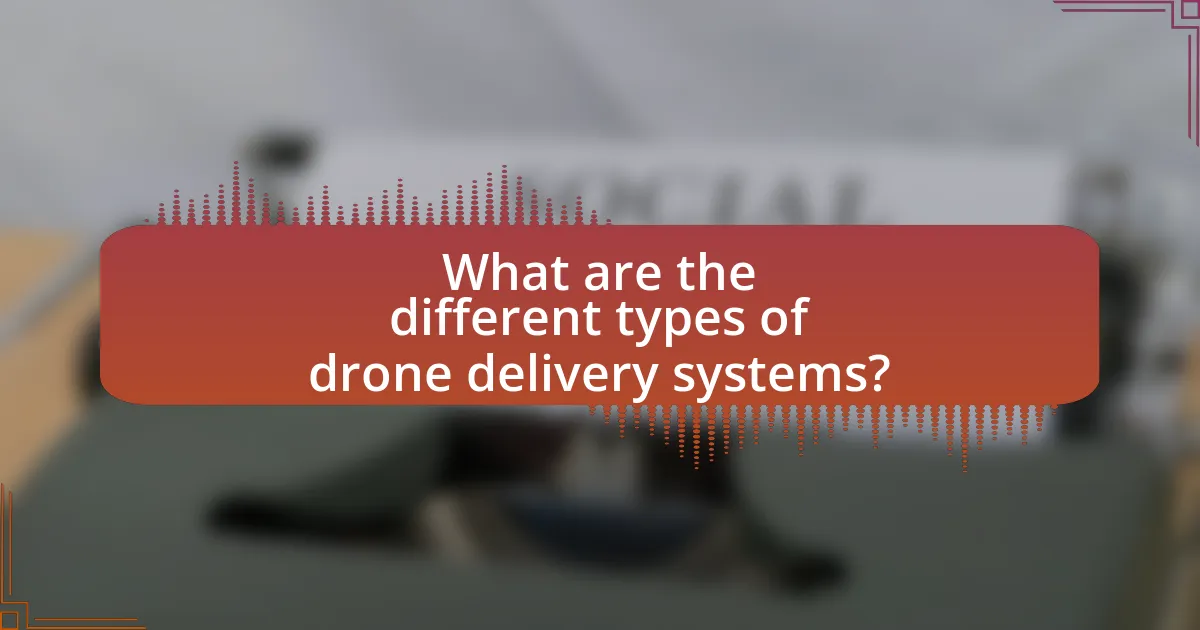 What are the different types of drone delivery systems?