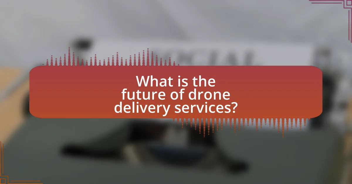 What is the future of drone delivery services?